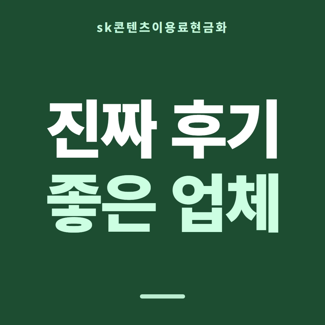 품티켓 SK 콘텐츠이용료 지난 결제 기록 안내 이미지